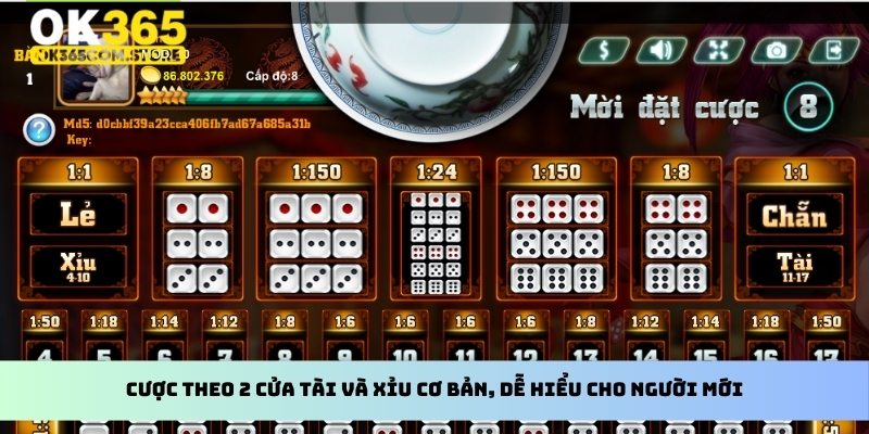 Cược theo 2 cửa Tài và Xỉu cơ bản, dễ hiểu cho người mới